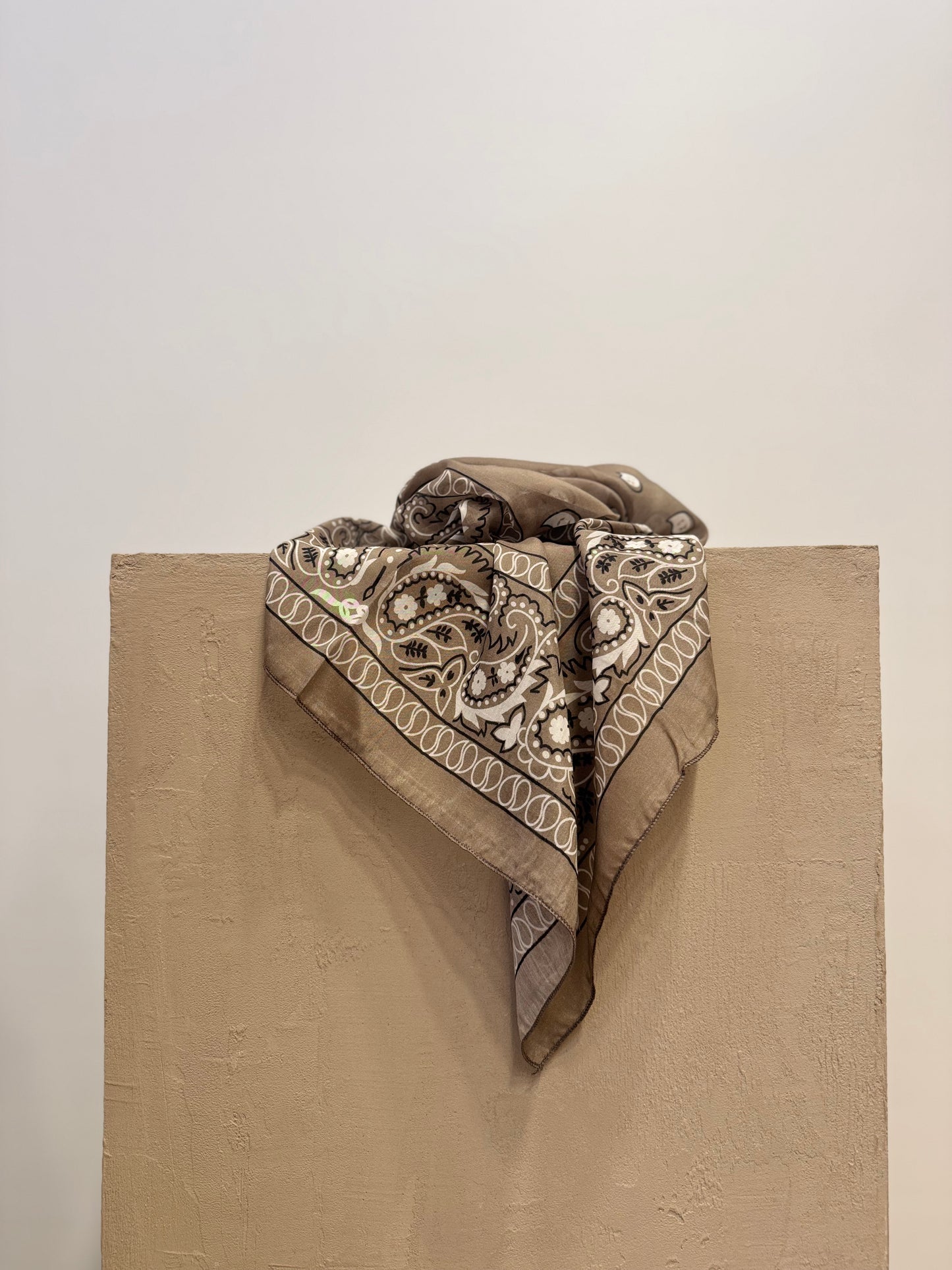 Taupe Paisley Silk-Cotton Scarf