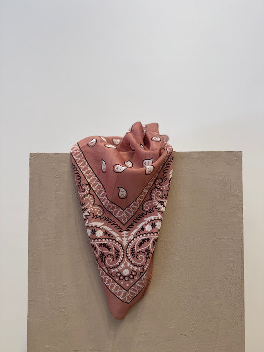 Dusty Pink Paisley Silk-Cotton Scarf