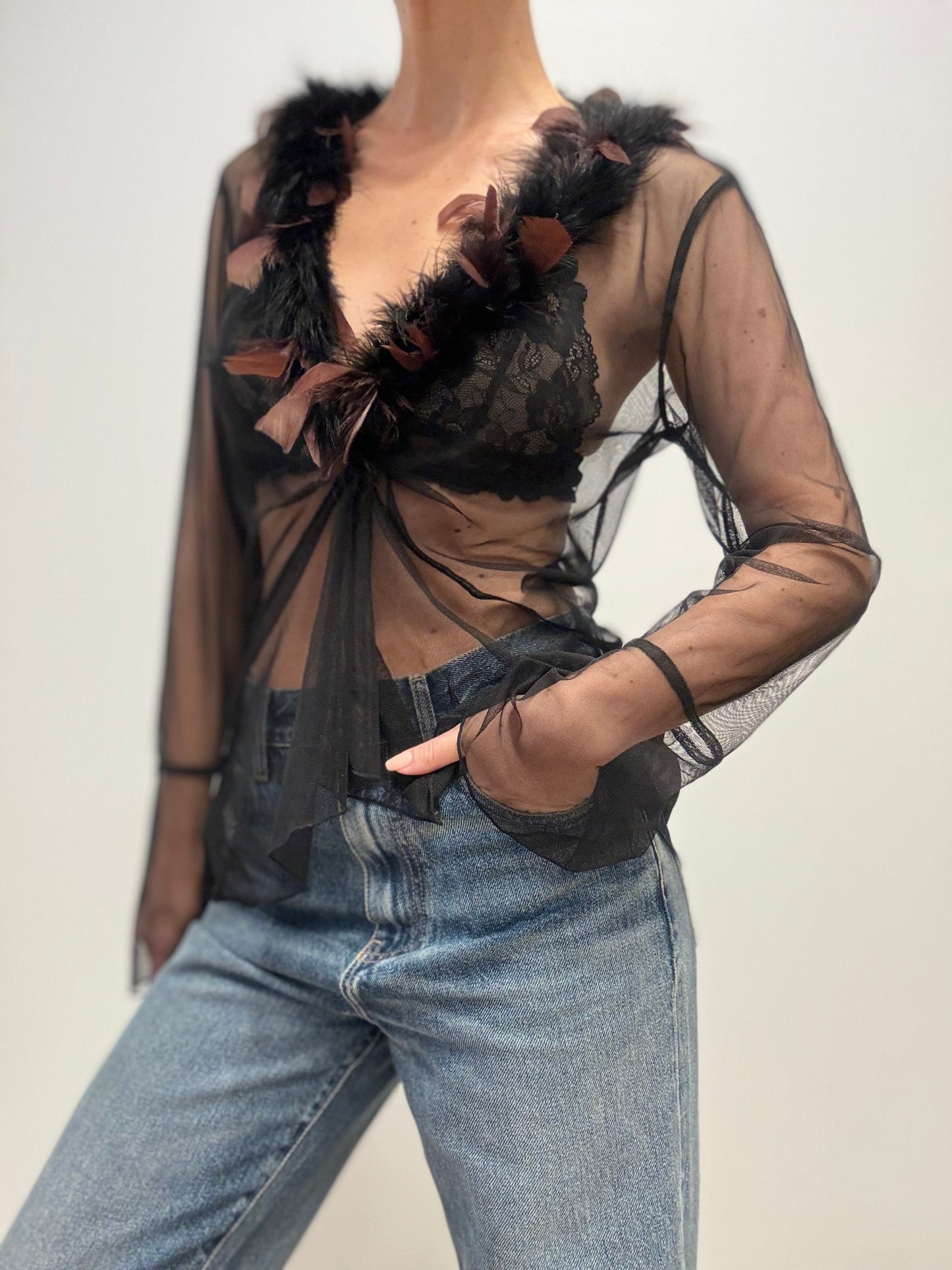 Vintage Sheer Tulle Blouse with Feather Trim in Black